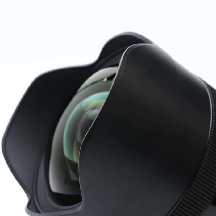 Art 12-24mm F4 DG HSM (ニコンF用)