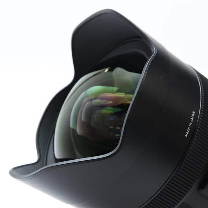 Art 12-24mm F4 DG HSM (ニコンF用)