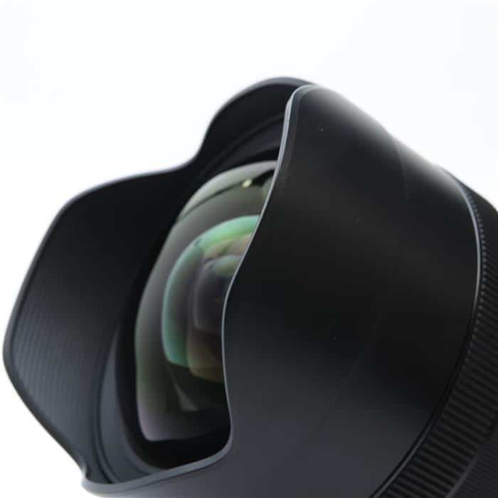 Art 12-24mm F4 DG HSM (ニコンF用)