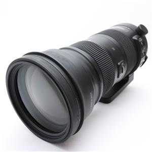 sigma 150-600mm f5-6.3 dg nikon」の商品検索結果 | デジタルカメラ