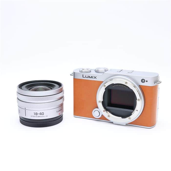 LUMIX S9 広角ズームレンズキット DC-S9N-D