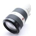 FE 100-400mm F4.5-5.6 GM OSS SEL100400GM