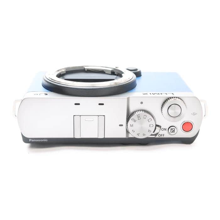 LUMIX S9 ボディ DC-S9-S エクステリア張替済み