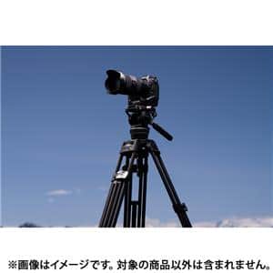 TAMRON (タムロン) 35-150mm F2-2.8 Di III VXD / Model A058Z（ニコンZ用）