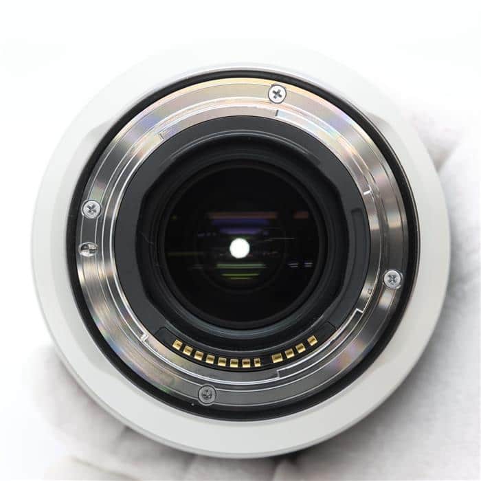 RF100-500mm F4.5-7.1 L IS USM