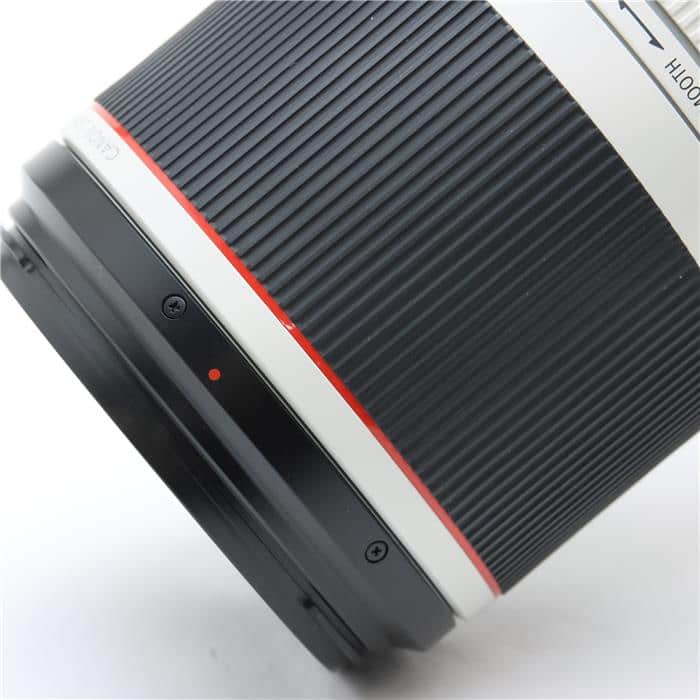 RF100-500mm F4.5-7.1 L IS USM