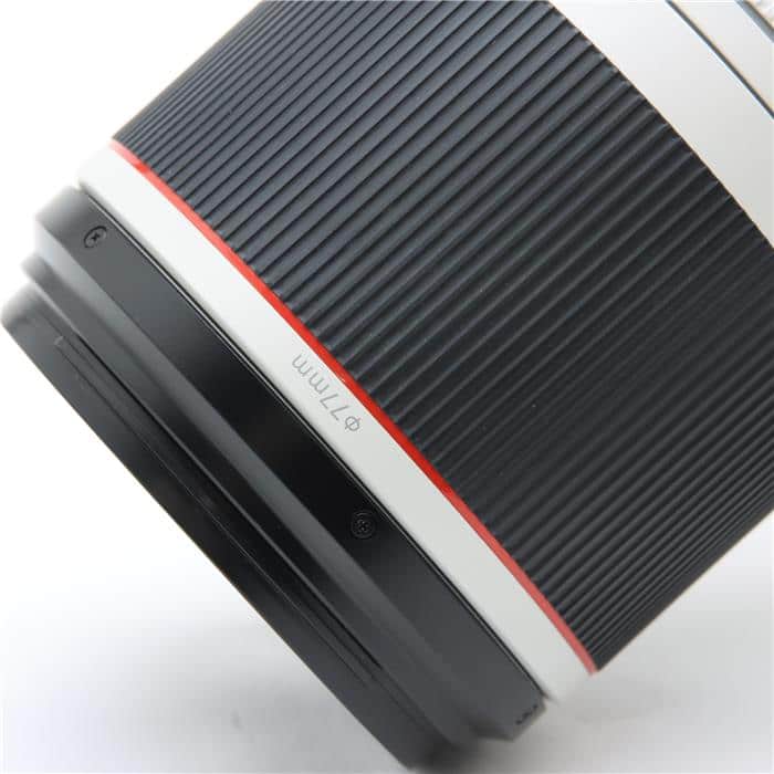 RF100-500mm F4.5-7.1 L IS USM