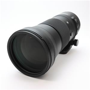 美品 FマウントSIGMA 150-600mm Contemporary ニコン レンタル] シグマ 150-600mm F5-6.3 DG OS HSM Contemporary 超望遠