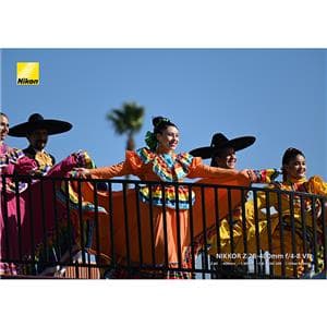 Nikon (ニコン) NIKKOR Z 28-400mm F4-8 VR
