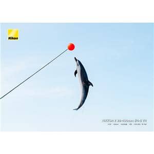 Nikon (ニコン) NIKKOR Z 28-400mm F4-8 VR