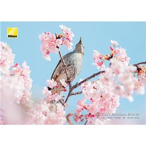 Nikon (ニコン) NIKKOR Z 28-400mm F4-8 VR