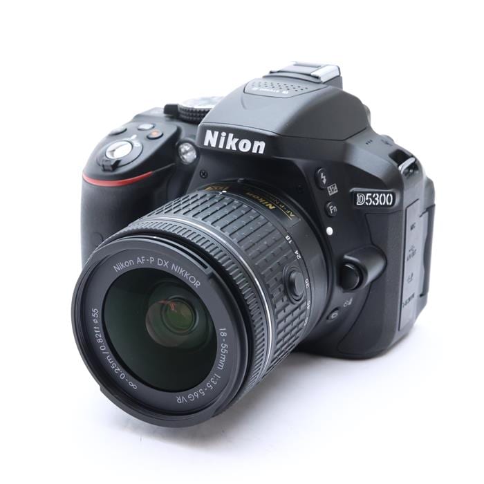 D5300 AF-P ダブルズームキット