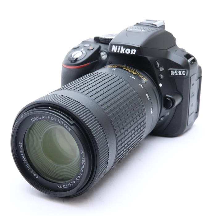 D5300 AF-P ダブルズームキット
