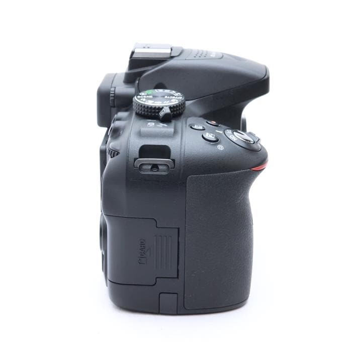 D5300 AF-P ダブルズームキット