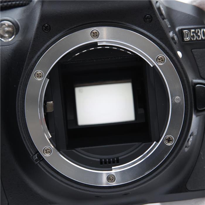 D5300 AF-P ダブルズームキット