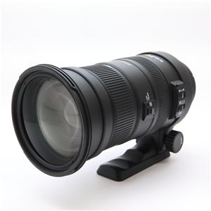 一眼レフ用レンズ一覧」「SIGMA」の商品検索結果 | デジタルカメラ