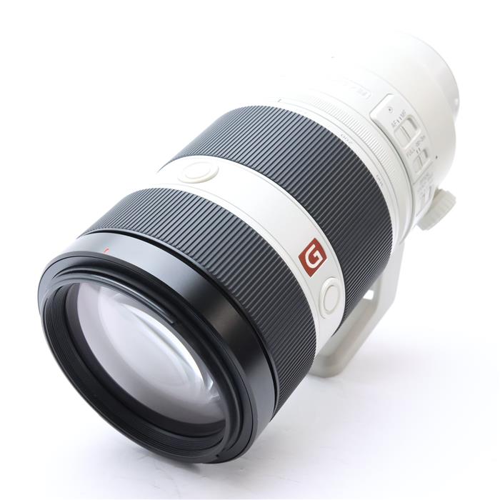 FE 100-400mm F4.5-5.6 GM OSS SEL100400GM