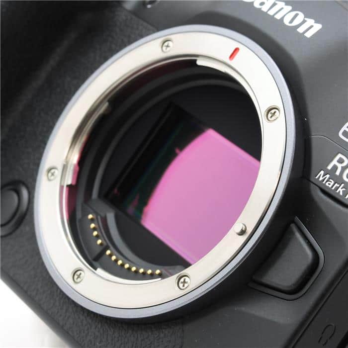 EOS R6 Mark III ボディ