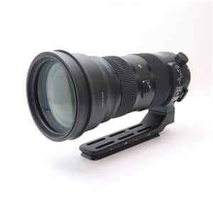 SIGMA (シグマ) Sports 150-600mm F5-6.3 DG OS (キヤノンEF用) メイン