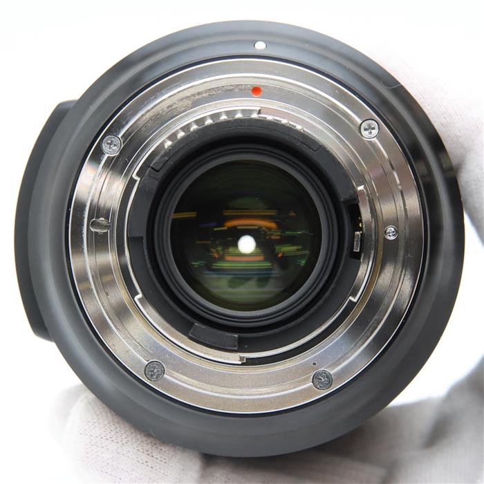 Art 24-105mm F4 DG OS HSM (ニコンF用)