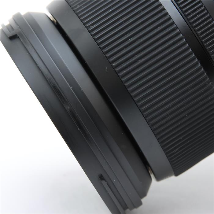 Art 24-105mm F4 DG OS HSM (ニコンF用)