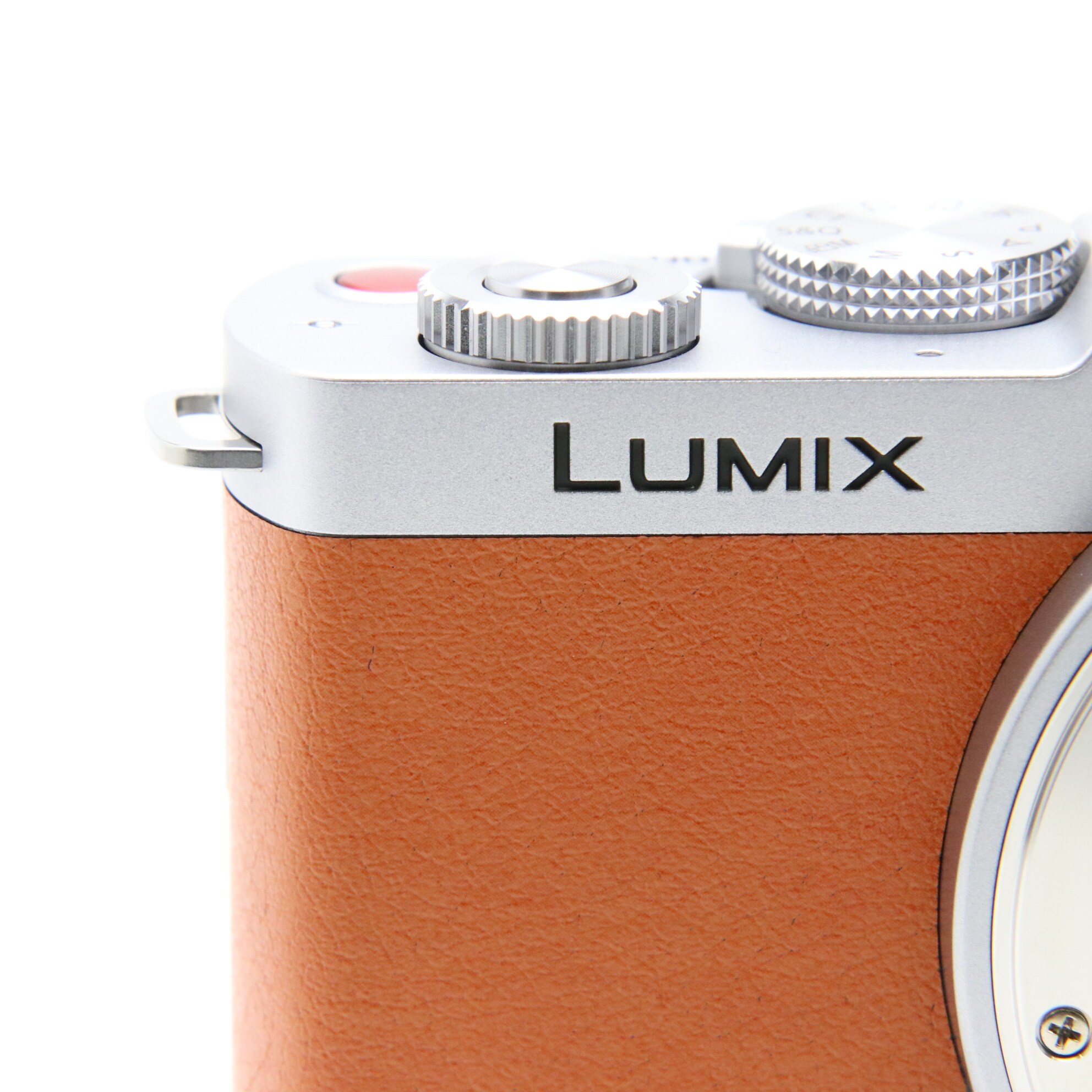 中古)Panasonic (パナソニック) LUMIX S9 ボディ DC-S9 キャメル