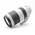 EF100-400mm F4.5-5.6L IS II USM