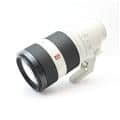 FE 100-400mm F4.5-5.6 GM OSS SEL100400GM