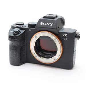 【ショット数4167枚の美品】ソニー SONY α7 Ⅱ 純正バッテリー２つ アガマ様:Sony α7ⅱILCE-7M2 (レンズ2本/バッテリー3個セット
