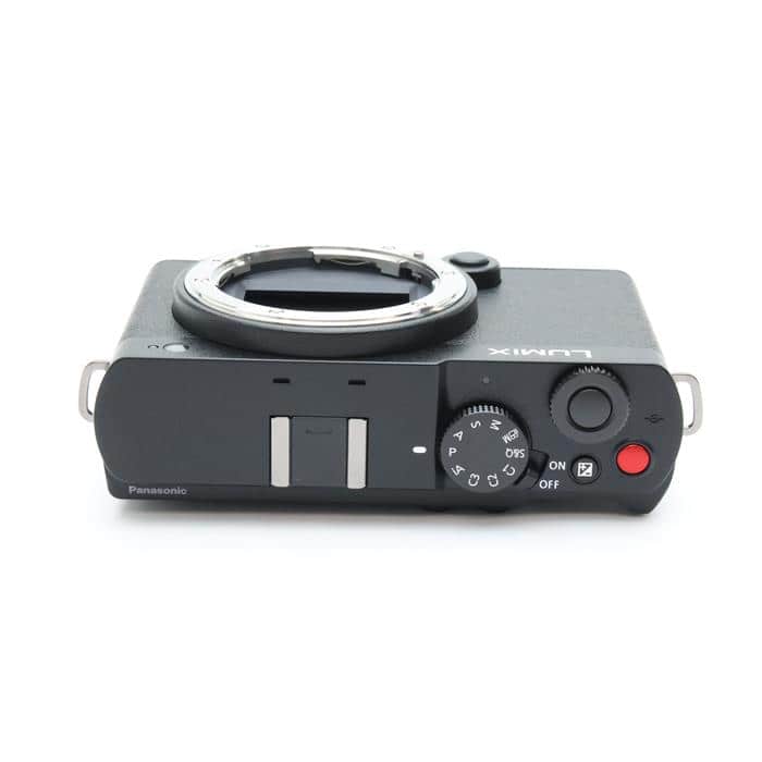 LUMIX S9 ボディ DC-S9-K