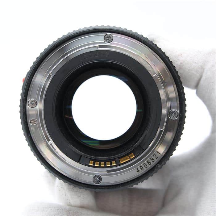 EF100mm F2.8Lマクロ IS USM