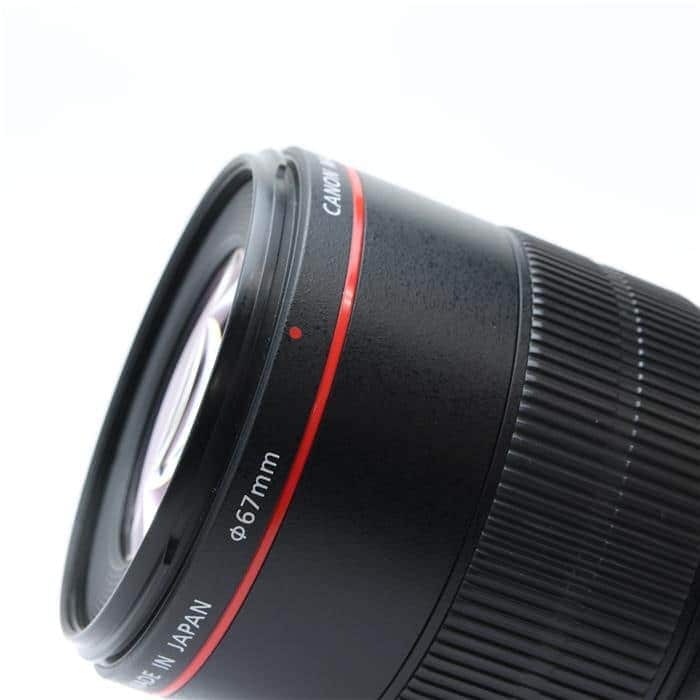EF100mm F2.8Lマクロ IS USM