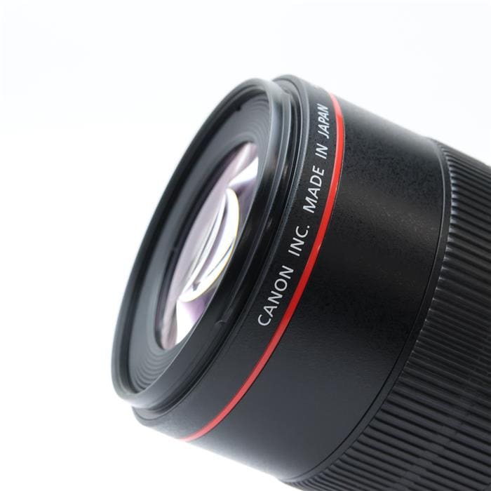 EF100mm F2.8Lマクロ IS USM