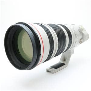 Canon EF200-400 F4L IS USM ×1.4エクステンダー 購入レビュー】EF200-400mm F4L IS USM エクステンダー 1.4X｜タカシ