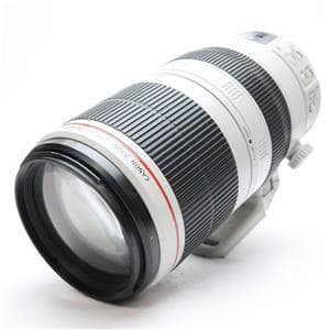 Canon (キヤノン) EF100-400mm F4.5-5.6L IS II USM メイン