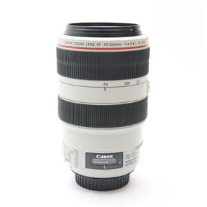 Canon (キヤノン) EF70-300mm F4-5.6L IS USM メイン
