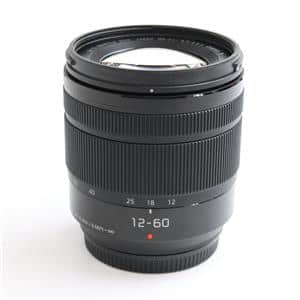 新品)Panasonic (パナソニック) LUMIX G VARIO 12-60mm F3.5-5.6