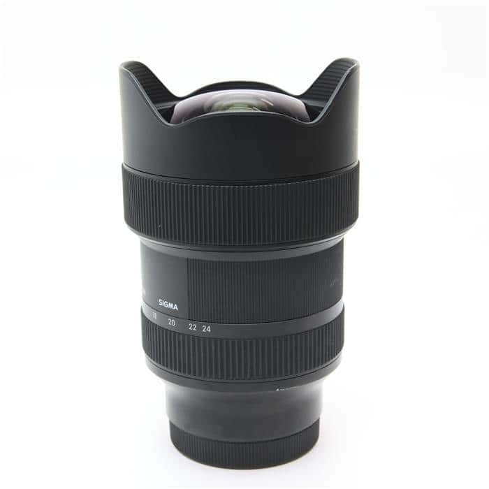 Art 14-24mm F2.8 DG DN (ソニーE用/フルサイズ対応)