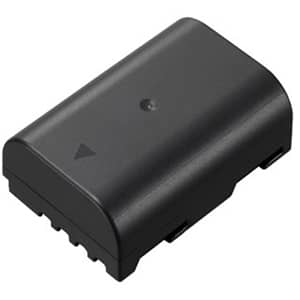 Panasonic (パナソニック) バッテリーパック DMW-BLF19 メイン