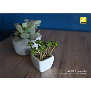 Nikon (ニコン) NIKKOR Z 35mm F1.4
