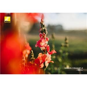 Nikon (ニコン) NIKKOR Z 35mm F1.4