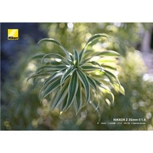 Nikon (ニコン) NIKKOR Z 35mm F1.4