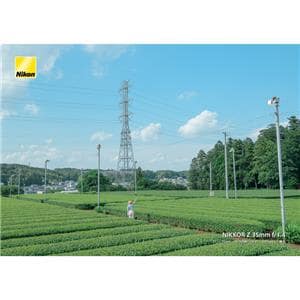 Nikon (ニコン) NIKKOR Z 35mm F1.4