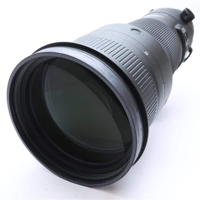 Sports 500mm F4 DG OS HSM (キヤノンEF用)