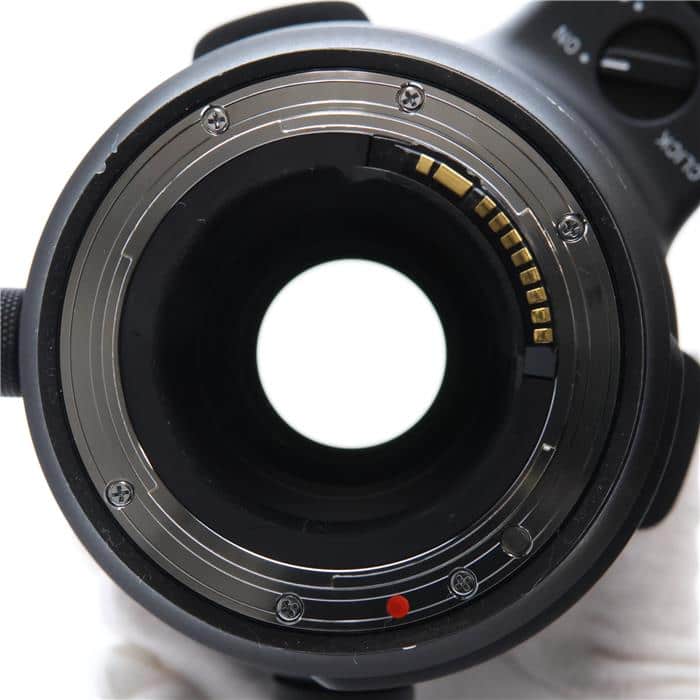 Sports 500mm F4 DG OS HSM (キヤノンEF用)