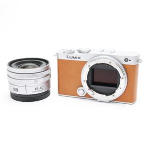 Panasonic (パナソニック) LUMIX S9 広角ズームレンズキット DC-S9N-D