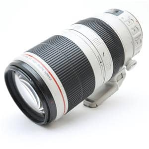 Canon (キヤノン) EF100-400mm F4.5-5.6L IS II USM メイン