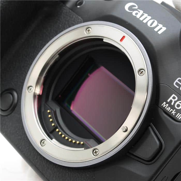 EOS R6 Mark III ボディ