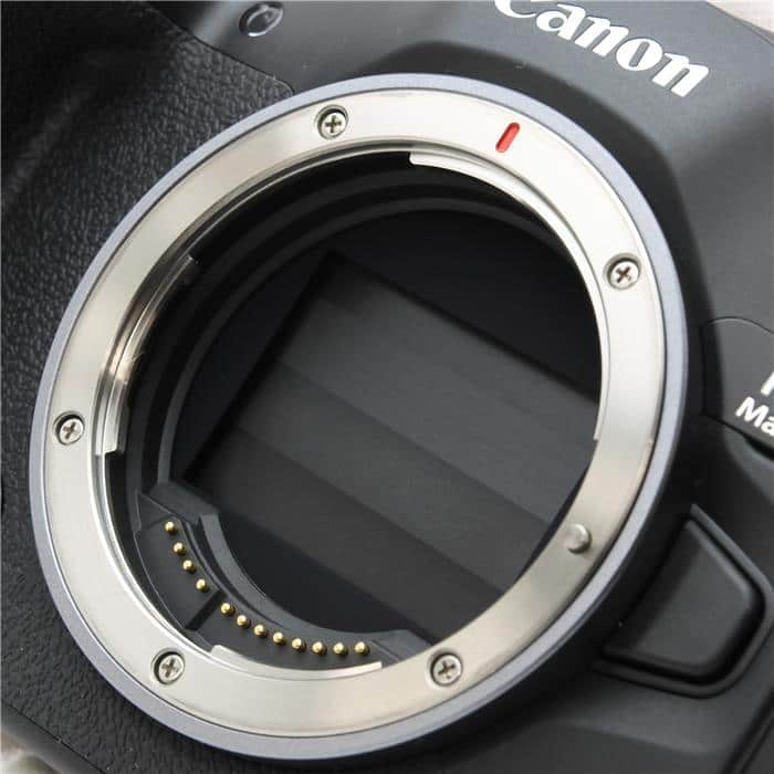 EOS R6 Mark III ボディ