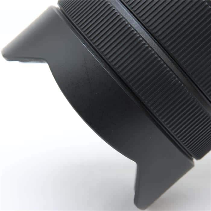 FE 12-24mm F4 G SEL1224G